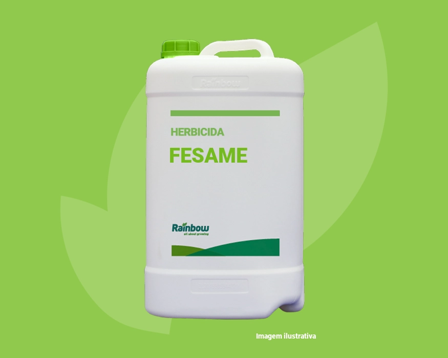 Fesame