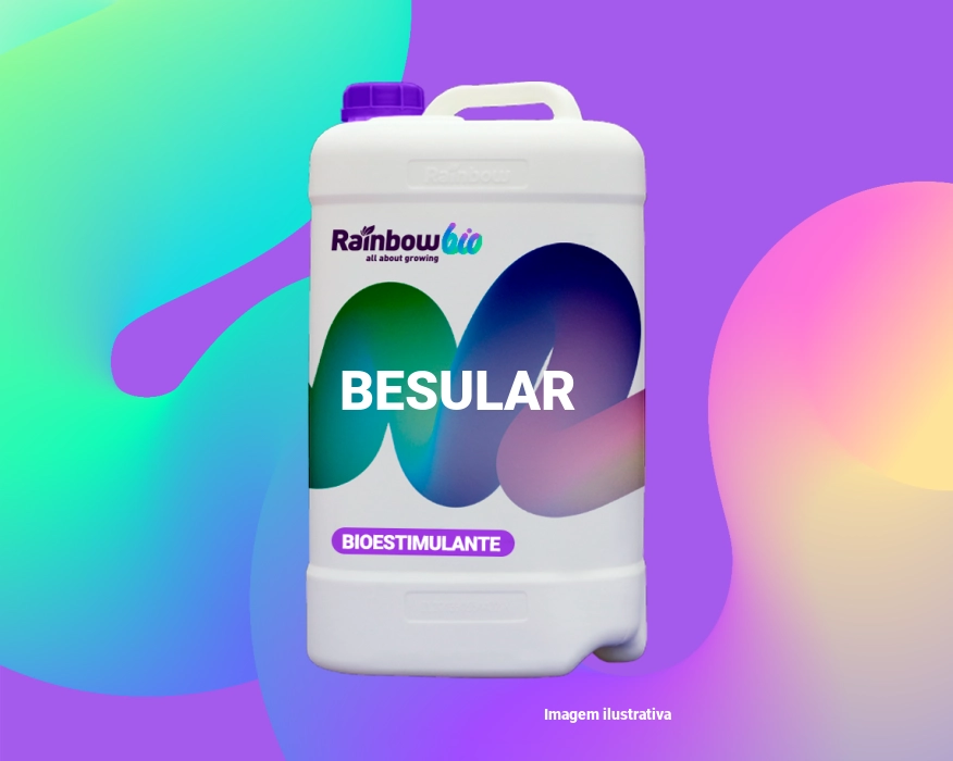 Besular