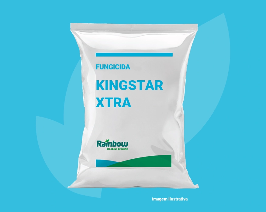 Kingstar Xtra