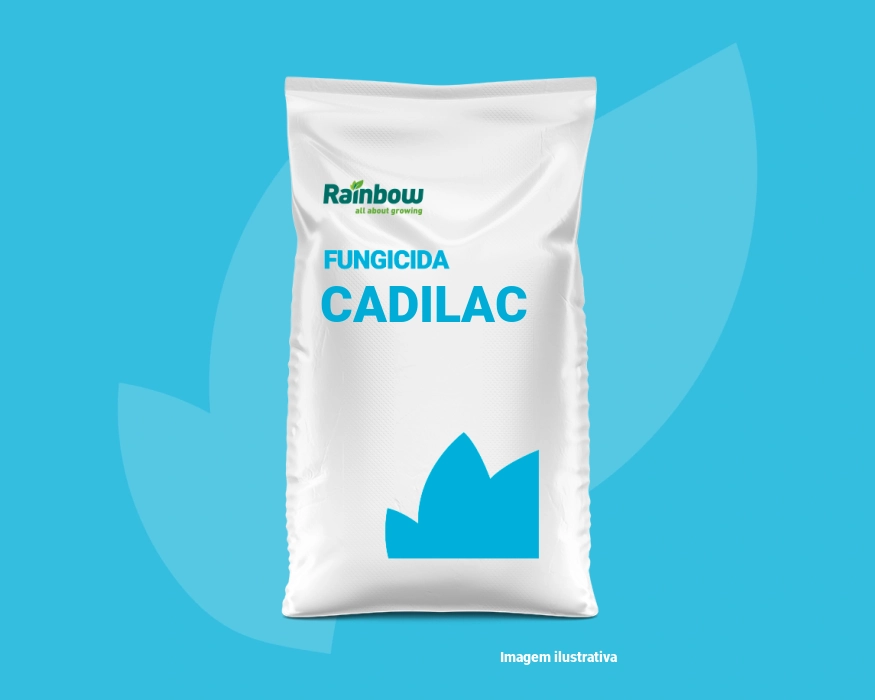 Cadilac