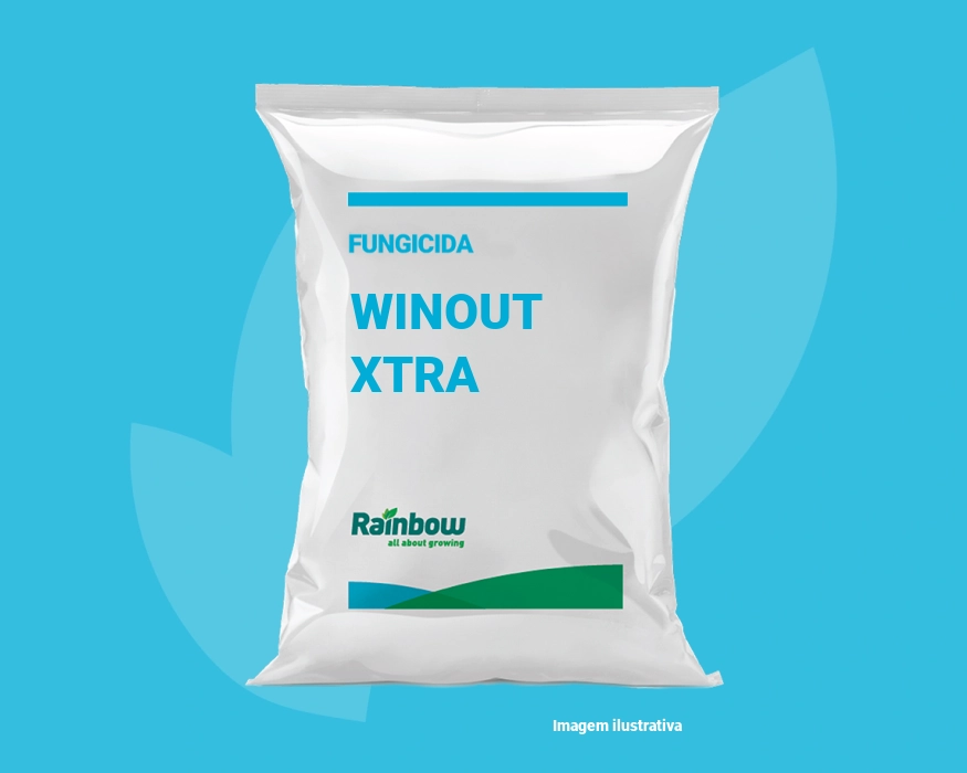 Winout Xtra