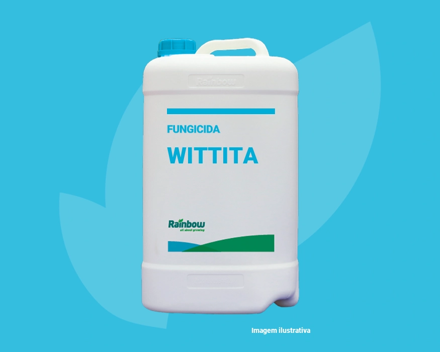 Wittita