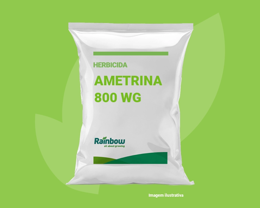 Ametrina 800 WG