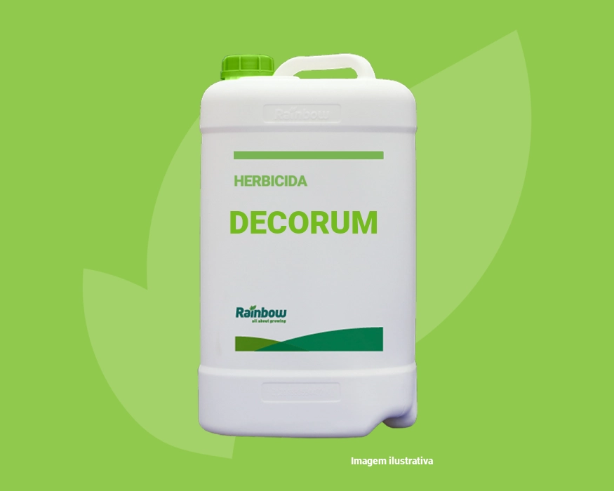 Decorum