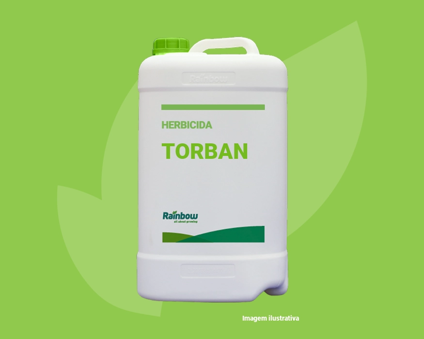 Torban