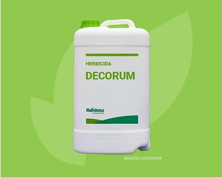 Decorum