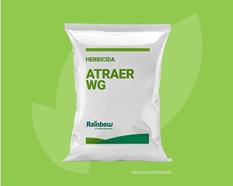 Atraer WG