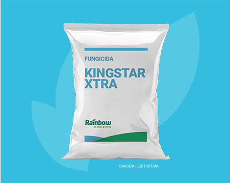 Kingstar Xtra