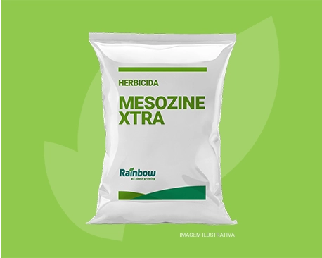 Mesozine Xtra