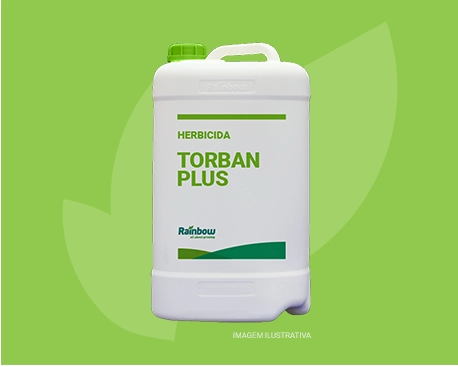 Torban Plus