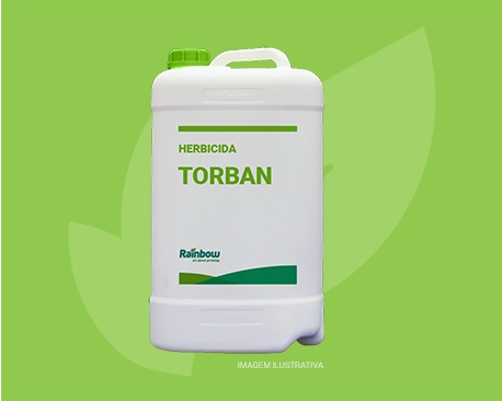 Torban