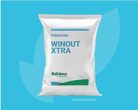 Winout Xtra