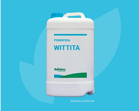 Wittita